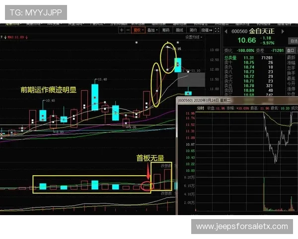 大庄家如何操控游戏市场价格波动，玩家应采取哪些有效应对措施保障自身利益