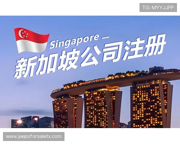 星空体育真人版会员注册指南全面解析快速完成注册步骤